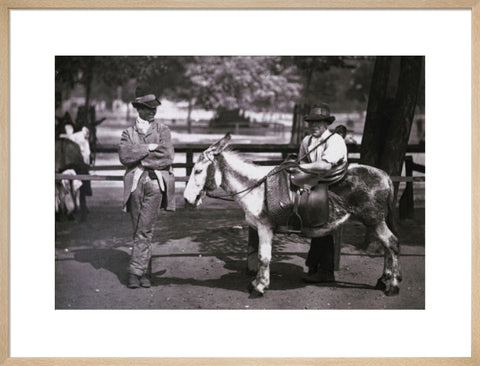 A donkey for hire on Clapham Common c.1877