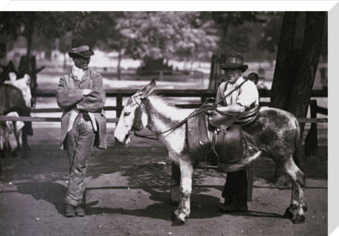 A donkey for hire on Clapham Common c.1877