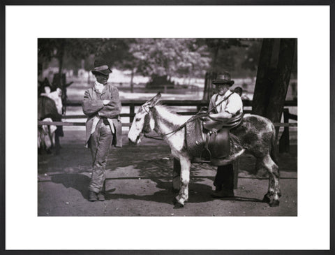 A donkey for hire on Clapham Common c.1877