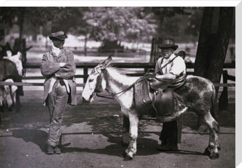 A donkey for hire on Clapham Common c.1877