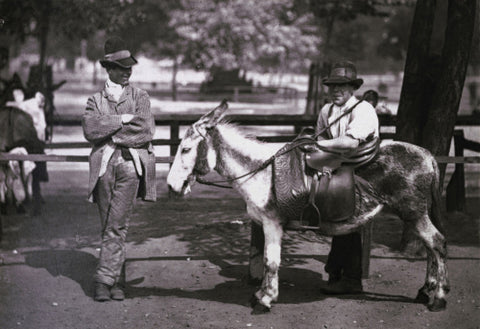 A donkey for hire on Clapham Common c.1877