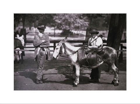 A donkey for hire on Clapham Common c.1877