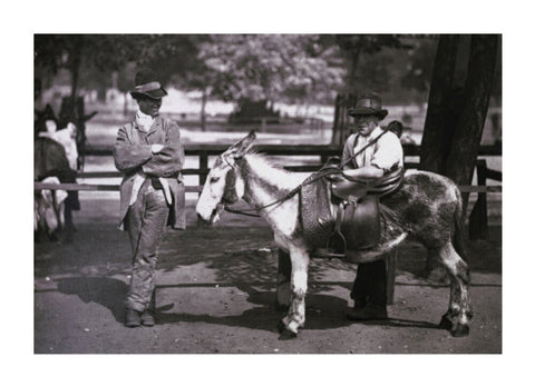 A donkey for hire on Clapham Common c.1877