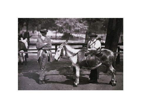 A donkey for hire on Clapham Common c.1877