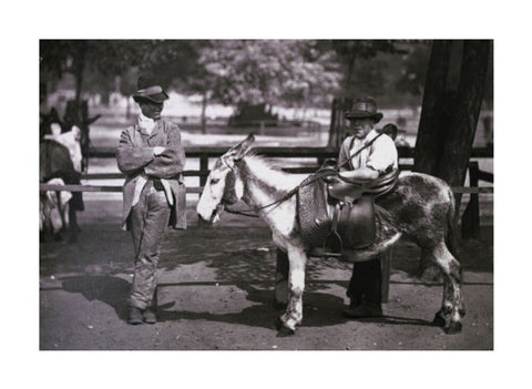 A donkey for hire on Clapham Common c.1877