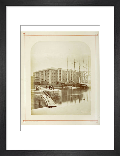The Surrey Commercial Docks c.1880
