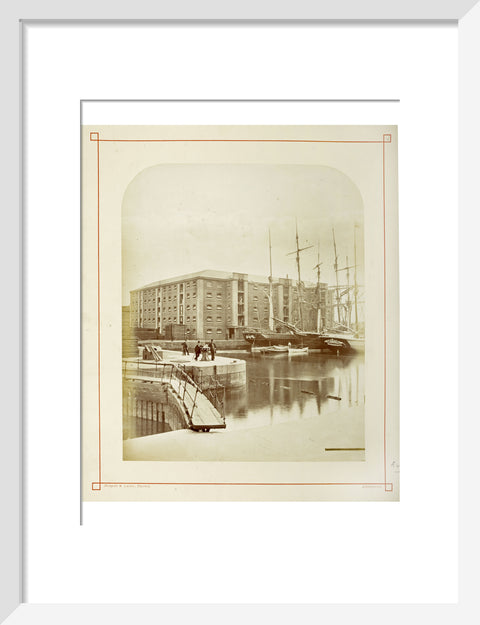 The Surrey Commercial Docks c.1880