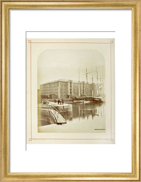 The Surrey Commercial Docks c.1880