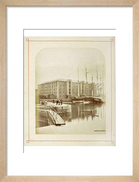 The Surrey Commercial Docks c.1880