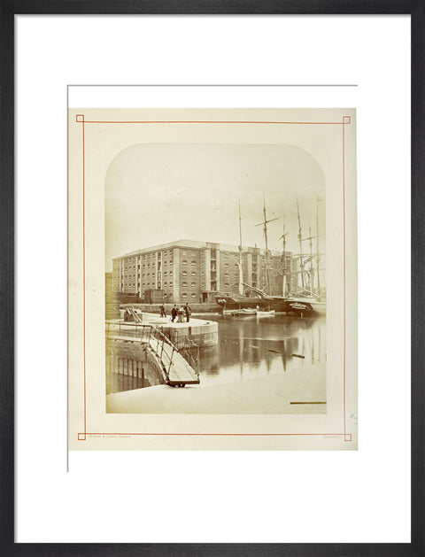 The Surrey Commercial Docks c.1880