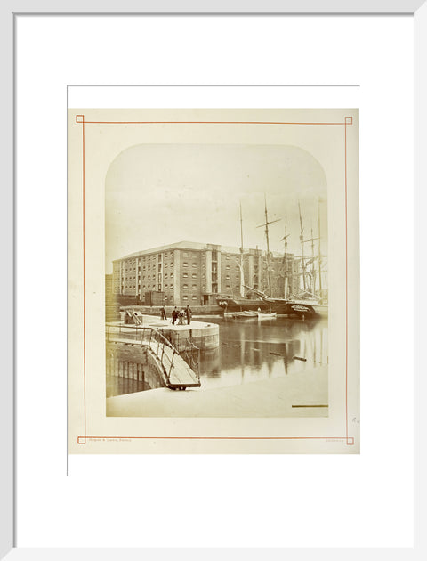 The Surrey Commercial Docks c.1880