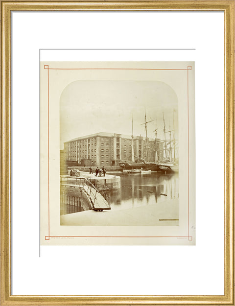 The Surrey Commercial Docks c.1880