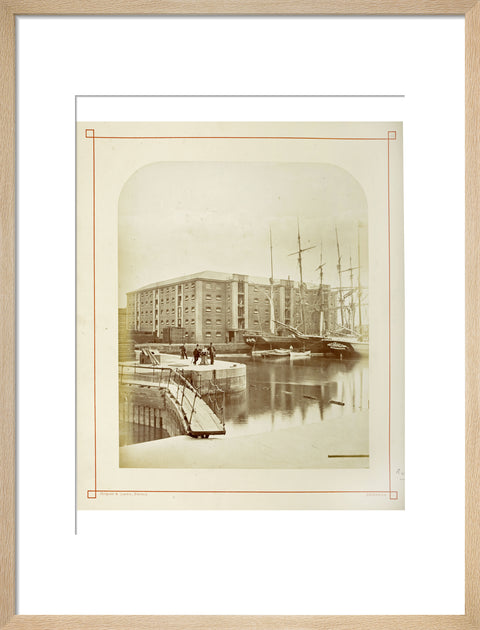 The Surrey Commercial Docks c.1880