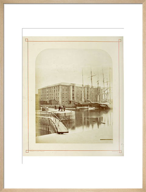 The Surrey Commercial Docks c.1880