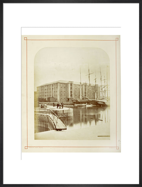 The Surrey Commercial Docks c.1880