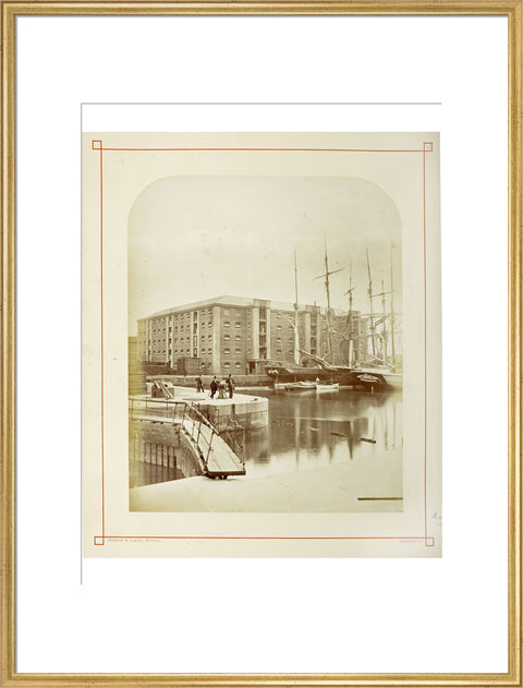 The Surrey Commercial Docks c.1880
