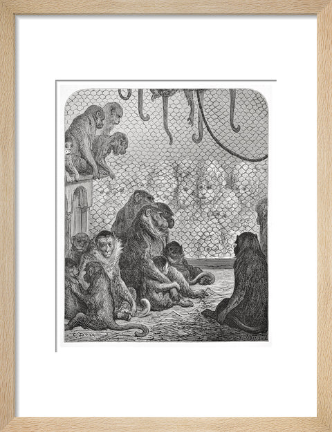 Zoological Gardens - the monkey house 1872