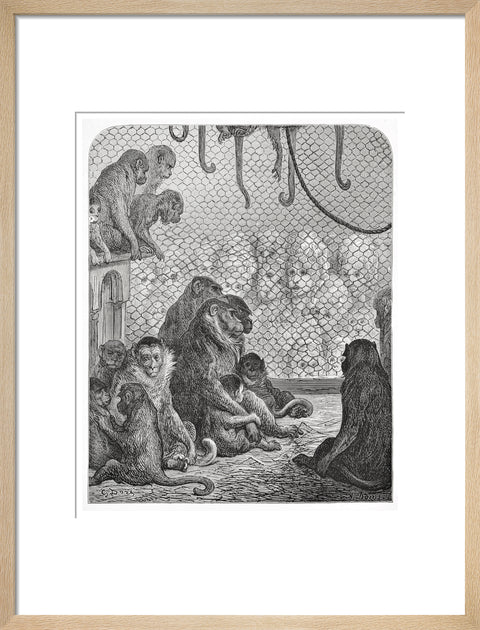 Zoological Gardens - the monkey house 1872