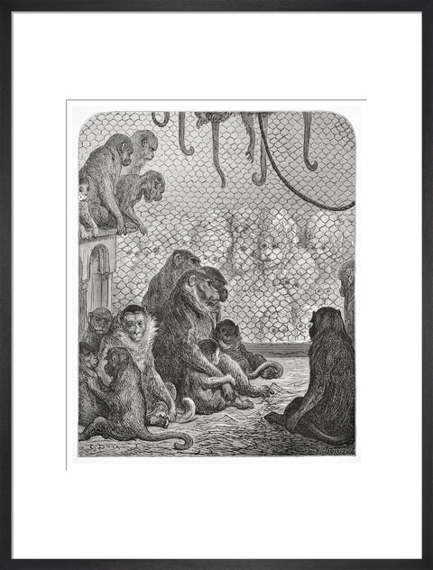 Zoological Gardens - the monkey house 1872
