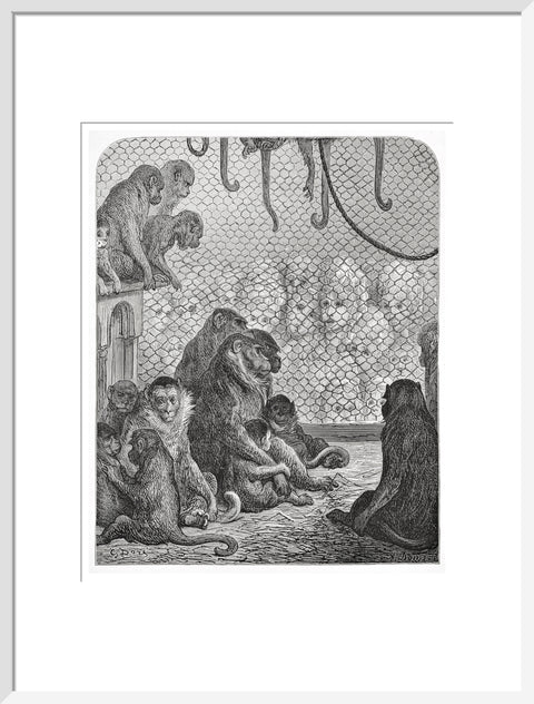 Zoological Gardens - the monkey house 1872