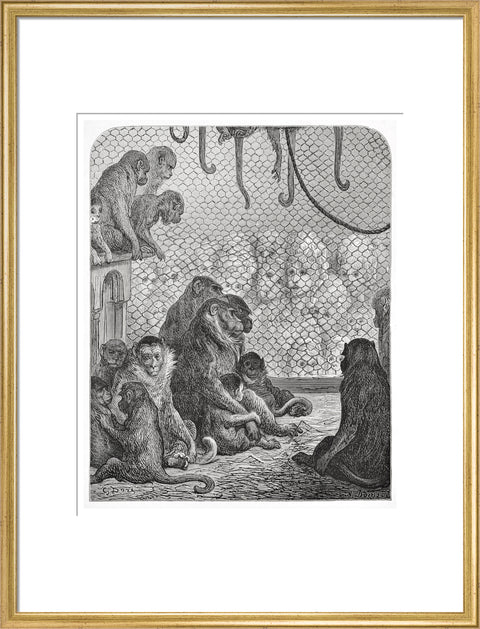 Zoological Gardens - the monkey house 1872