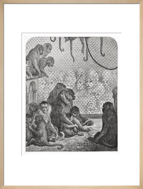 Zoological Gardens - the monkey house 1872