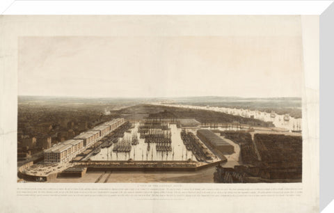 A View of the London Docks 1808