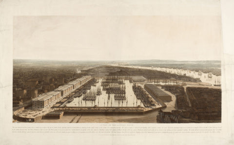 A View of the London Docks 1808