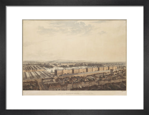 The London Dock from St George's 1816