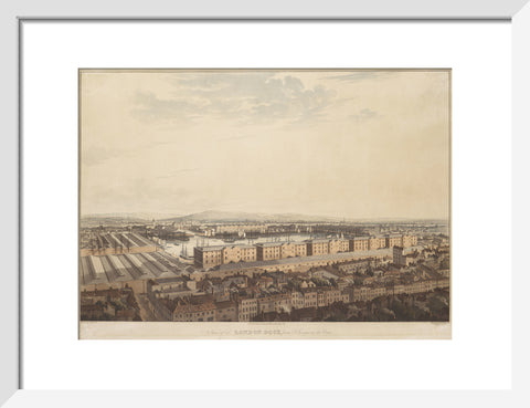 The London Dock from St George's 1816