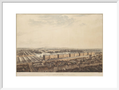 The London Dock from St George's 1816