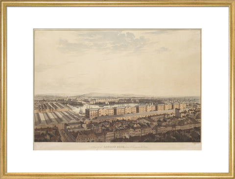 The London Dock from St George's 1816