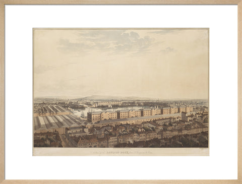 The London Dock from St George's 1816