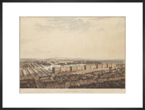 The London Dock from St George's 1816