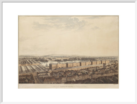 The London Dock from St George's 1816