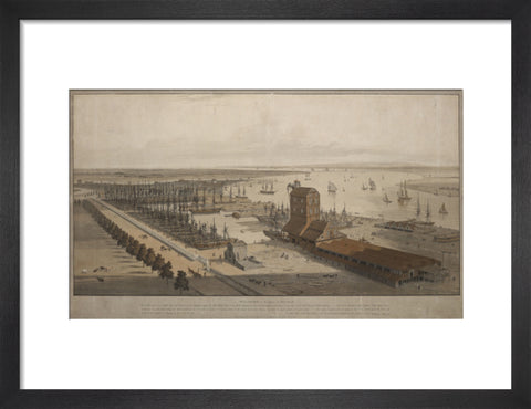 A View of the London Dock from the west 1808