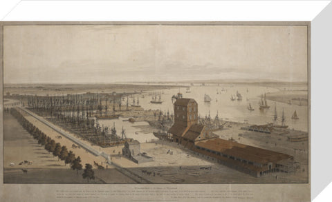 A View of the London Dock from the west 1808