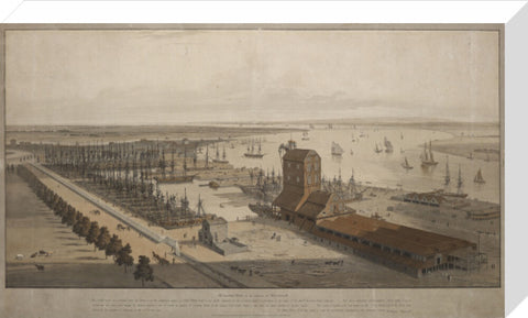 A View of the London Dock from the west 1808