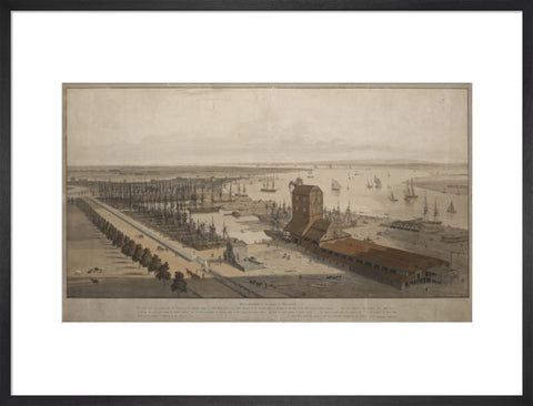 A View of the London Dock from the west 1808