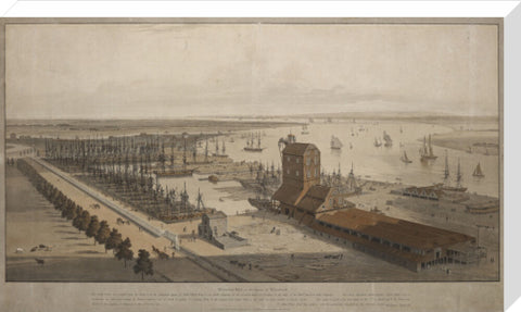 A View of the London Dock from the west 1808