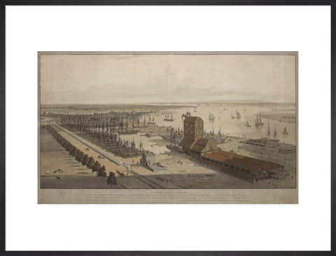 A View of the London Dock from the west 1808