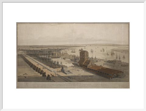 A View of the London Dock from the west 1808