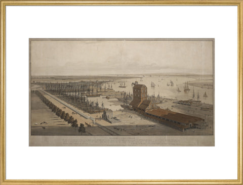 A View of the London Dock from the west 1808