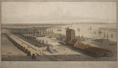 A View of the London Dock from the west 1808