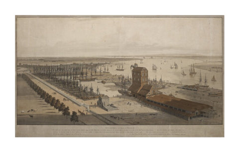 A View of the London Dock from the west 1808