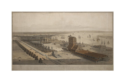 A View of the London Dock from the west 1808