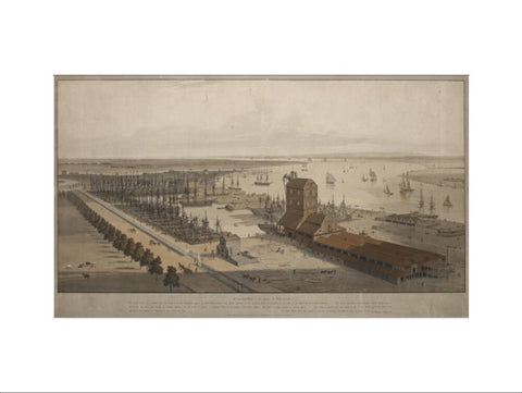 A View of the London Dock from the west 1808