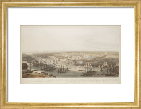 A View of the London Docks 1808