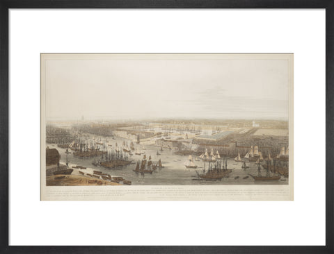 A View of the London Docks 1808