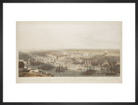 A View of the London Docks 1808